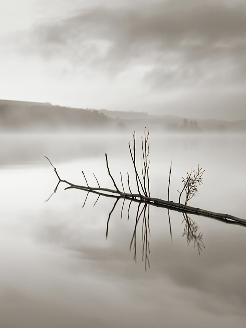 Reflection in Water