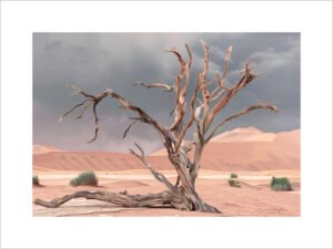 Lonely Tree - 13cm×18cm