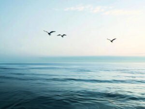 Wings of Freedom - 13cm×18cm