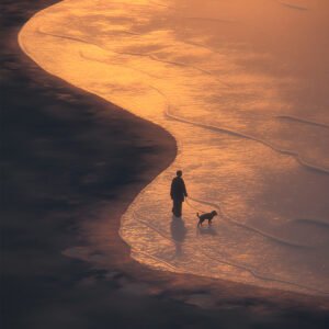 Sunset Stroll - 50cm×50cm