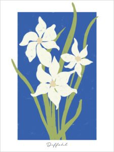 Fresh Narcissus - 13cm×18cm