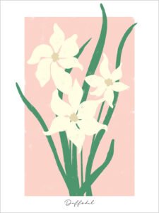 Fresh Narcissus - 13cm×18cm