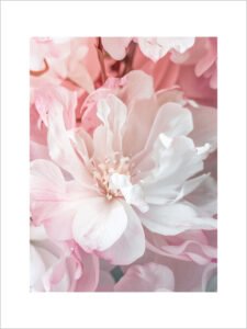 Delicate Blossom - 13cm×18cm