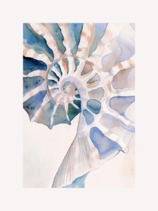 Secrets of the Seashell - 13cm×18cm