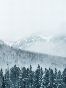 Misty Forest - 13cm×18cm