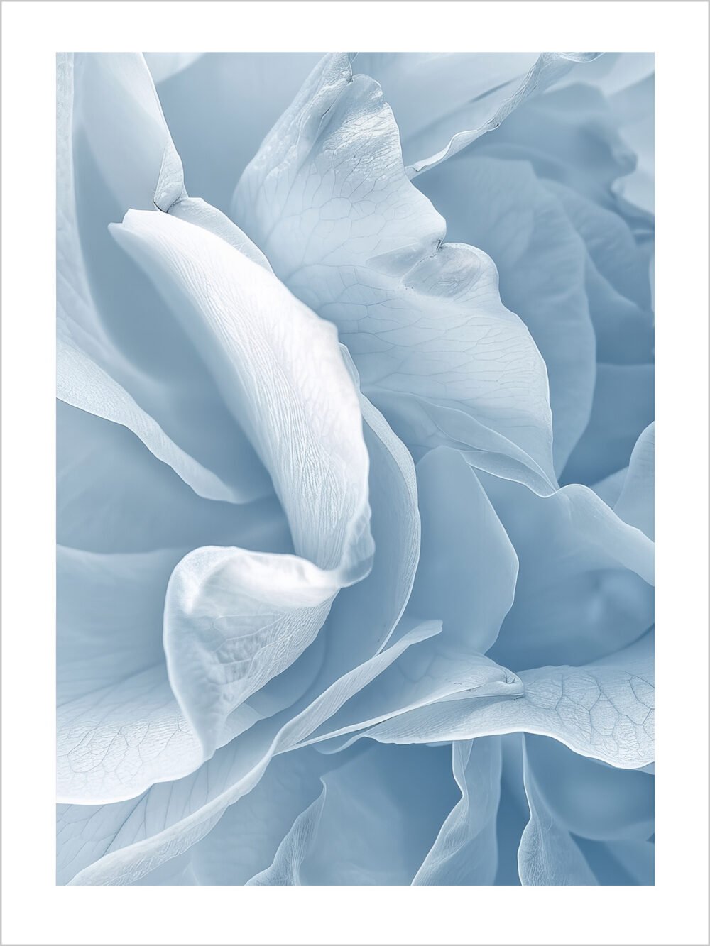 Ice Blue Blossom