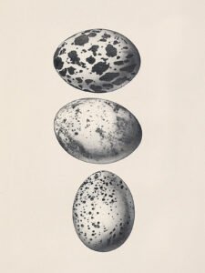 Symphony of Spots - 13cm×18cm