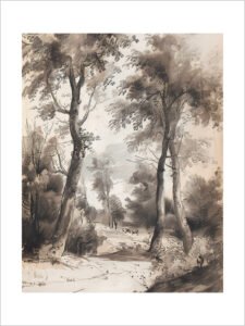 Serene Forest - 13cm×18cm