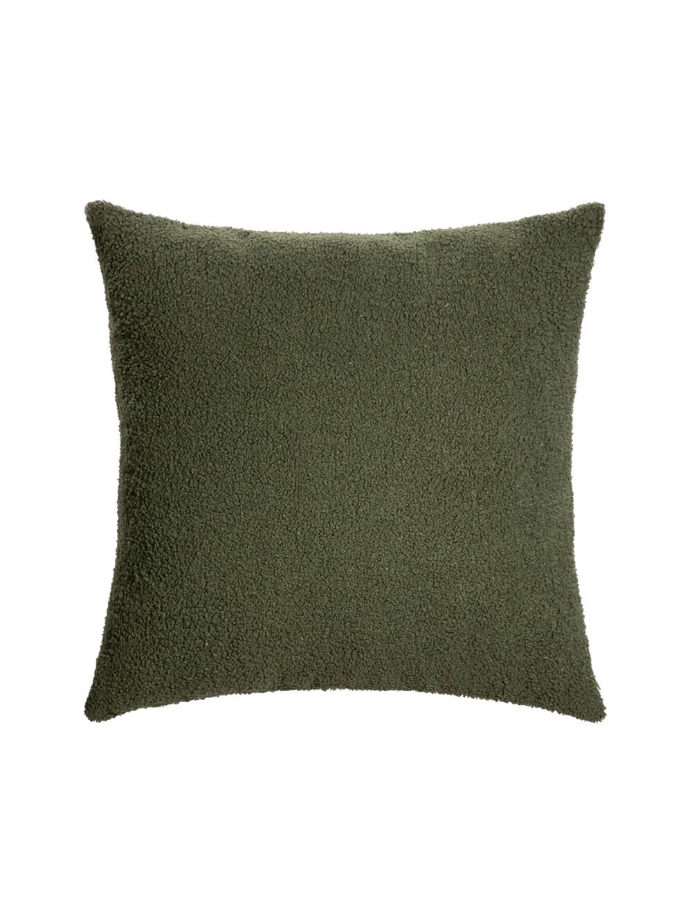 Medieval Green Zebra Cushion Cover - Image 4