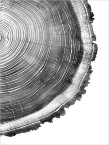 Ring of Time - 13cm×18cm