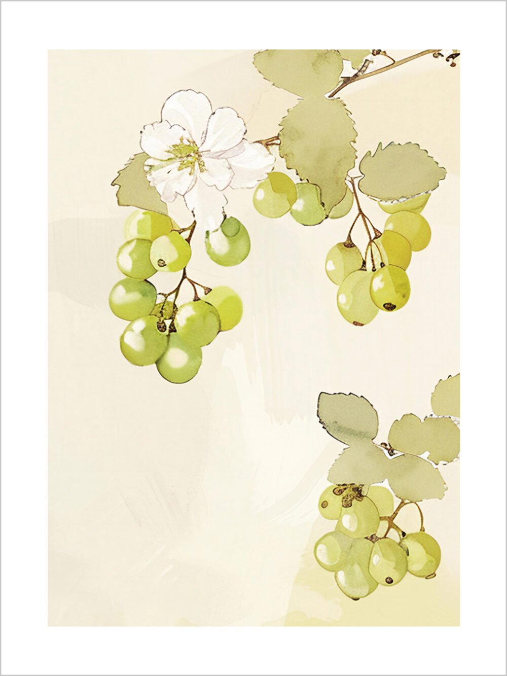 Blooming Grapes