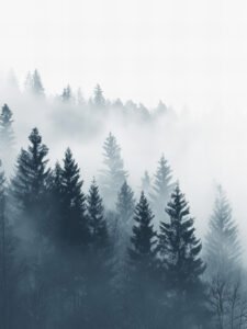 Misty Forest - 13cm×18cm