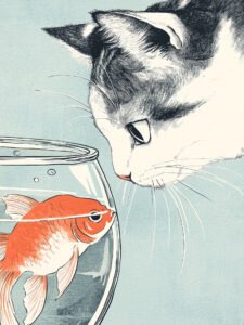 ‌The Interesting Scene of Cat - Fish Gaze - 13cm×18cm