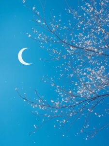 ‌The Serene Scene of Flower - laden Tree in Moonlit Night - 13cm×18cm